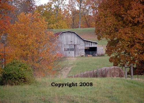 barn in autumn